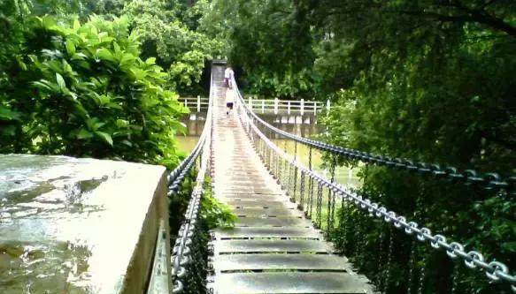 带上孩子一起浪!深圳这9个超适合亲子游的地点