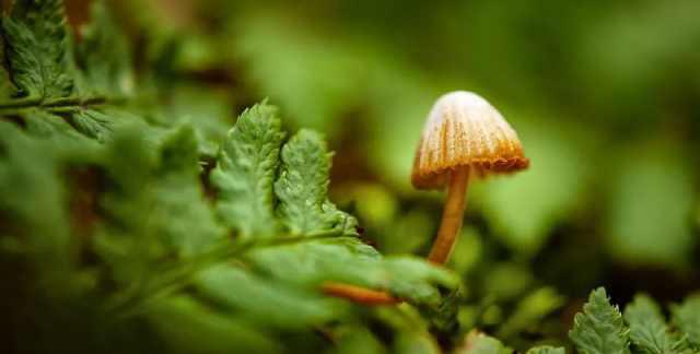 5月早安励志正能量激励人心的句子