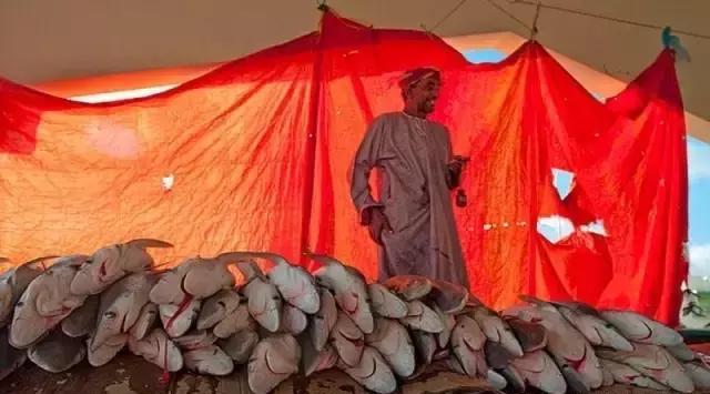 阿拉伯国家概况-阿曼苏丹国