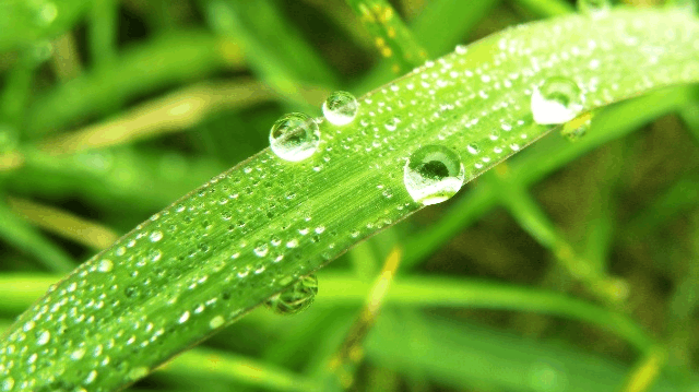 民间道法秘术--无根之水引财法