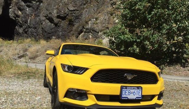 很“黄”很暴力, 加国牵手野马2.3T, 保值率感人!