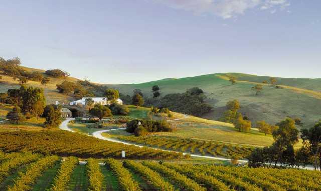 澳洲为什么被称为土澳, 因为他们真的很土