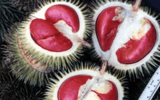 农民种植红榴莲市场少见, 带皮一起卖20元一