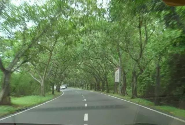 作为一只男人，你的情怀还剩几斤？