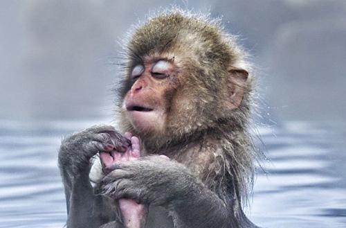 广西冬日“泡汤”线路送给你，约个时间约条好友走起！