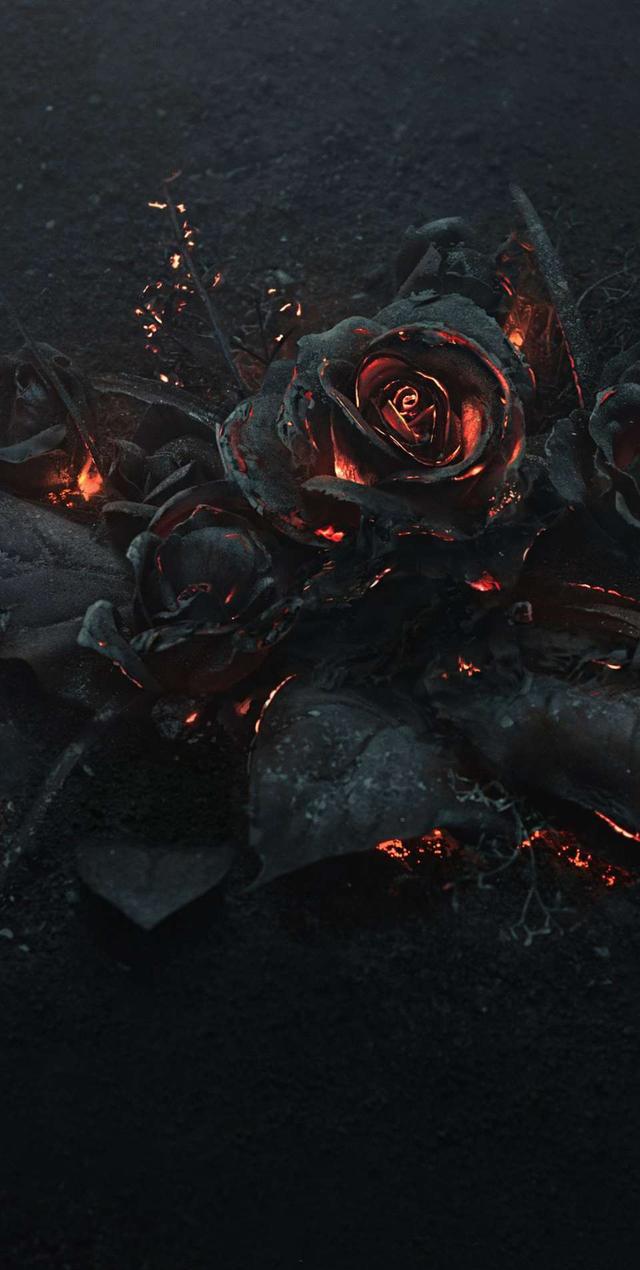 苹果x全面屏最火壁纸,苹果x壁纸 你的名字 iphonex高清全面屏壁纸—猫狗萌宠篇,不快点收藏的话就没咯!