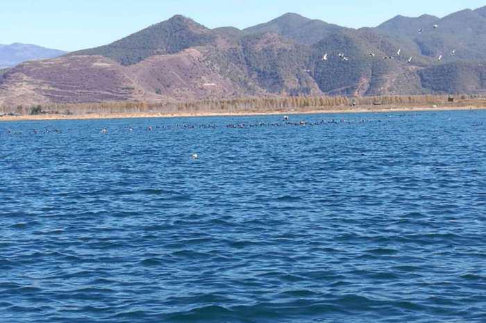 想知道“五菱“最近有什么新消息么，都在这里了