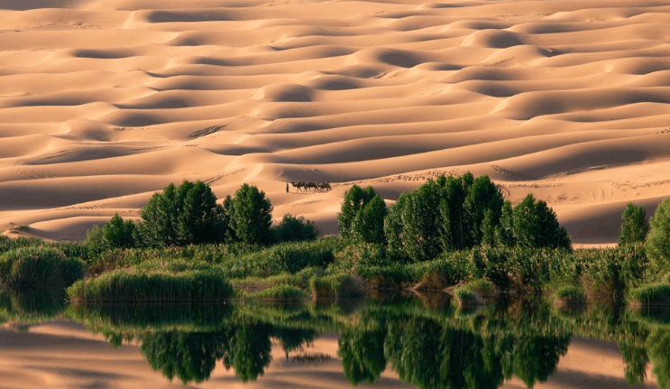 全球变暖, 或使新疆沙漠变绿洲, 但专家却说这并非好事