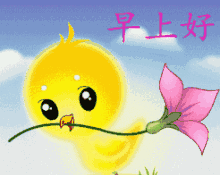 2018年最新早上好问候表情大全,太美太齐全了!快快珍藏