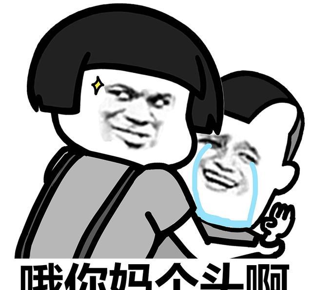 表情包：一天到晚就他妈会哦！哦你妹