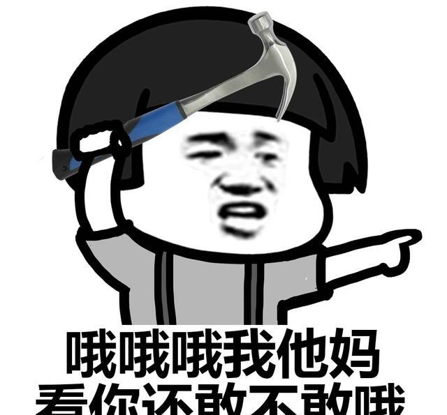 表情包：一天到晚就他妈会哦！哦你妹
