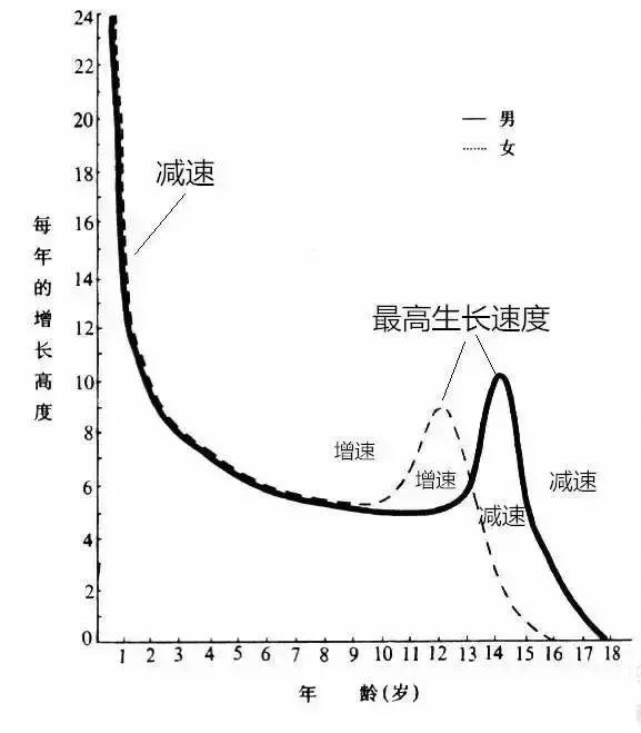 生活 | 你家娃身高正常么?点这个公式,能预测娃