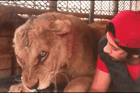 睡梦中的小baby,别闹～好舒服,继续拍拍