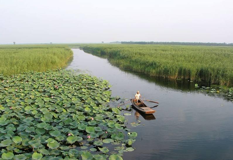 在2007年,白洋淀景区获准为国家5a级旅游景区.