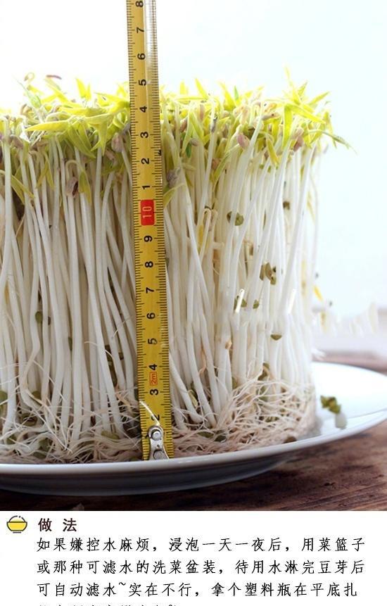 幼儿园作业--生豆芽 感谢老师让我学会了生豆芽