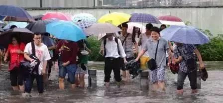 暴雨中的逆袭！今天朋友圈都被它刷屏了