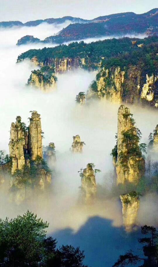 空灵山人:八字命理知识之三衰六旺