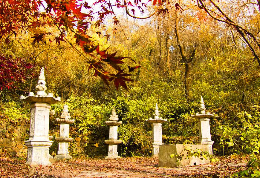 名不见经传的民国和尚,凭谎言救了2万难民,其