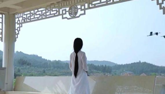 李子柒用荷花酿酒,唯美梦幻,看她喝酒的样子,被