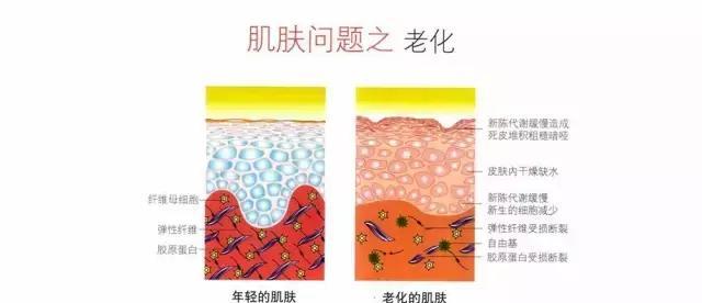 美容仪原理篇,网红美容仪真的有用吗?