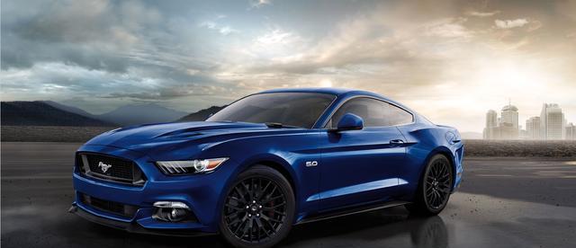 细看如何会爱上一匹野马