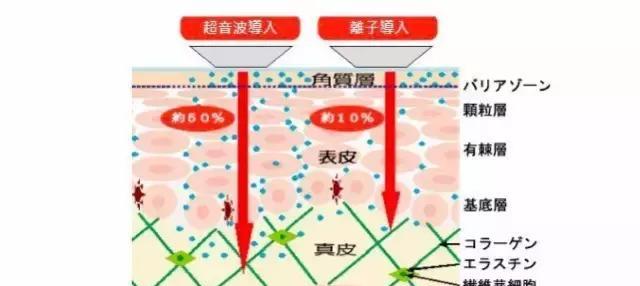美容仪原理篇,网红美容仪真的有用吗?