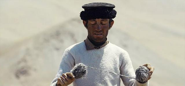 再见,妮娜!再见,红旗拉普! | 路边野餐III