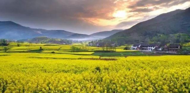 三月特惠，车主免费|2018年汉阴县三月油菜花节自驾摄影活动计划