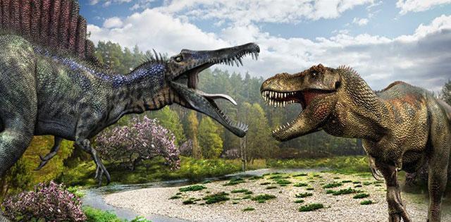 霸王龙跟棘龙打, 谁赢? 棘龙真的能杀死霸王龙