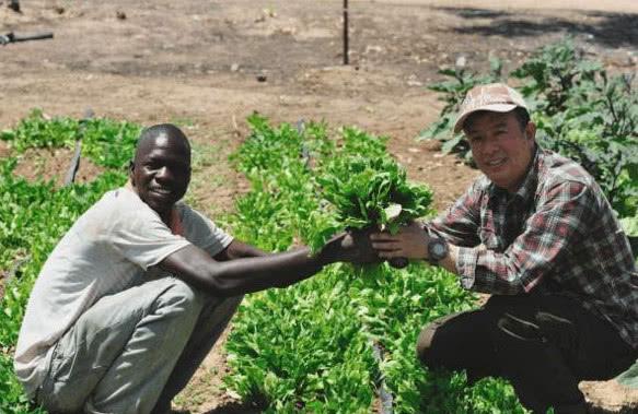 中国人在非洲种菜,非洲人惊讶不已,纷纷称其中国人是能工巧匠!