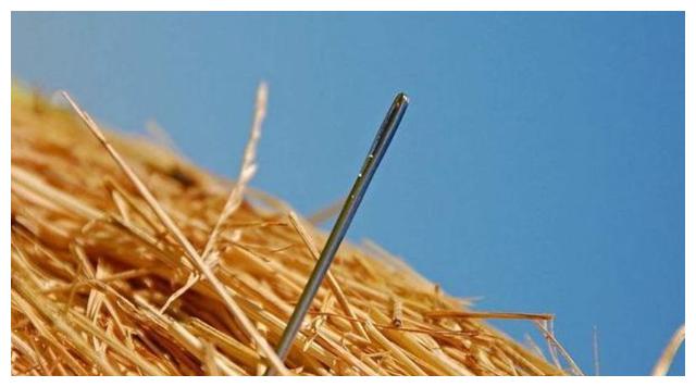 面试官:一根针掉进大海,你会怎么办?难倒众人