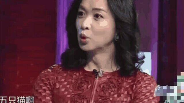 赵丽颖结婚,胡歌却火了,为什么不谈恋爱?原因