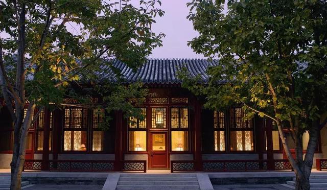 活了80000岁，重量600万公斤，最大生命体正走...