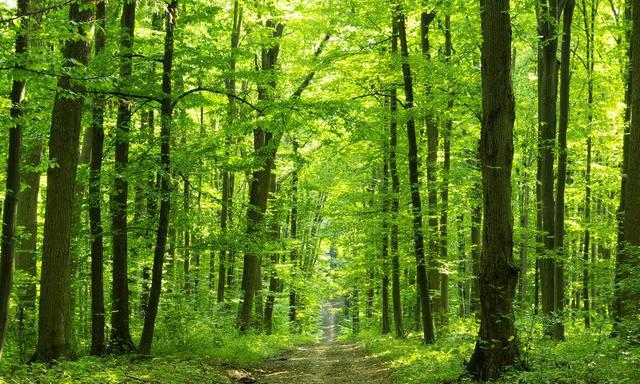 曹操最著名的几个典故 你一定在哪读过