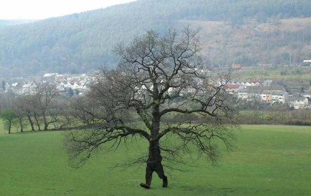 看一眼很容易被误导的10张图,多看几眼才能