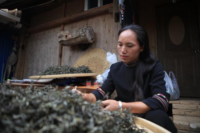 探访中国“皮卡第一村” 讲述锐骐背后的故事