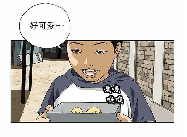 奇葩漫画熊孩子买了两只可爱的小鸡却让妈妈很头疼