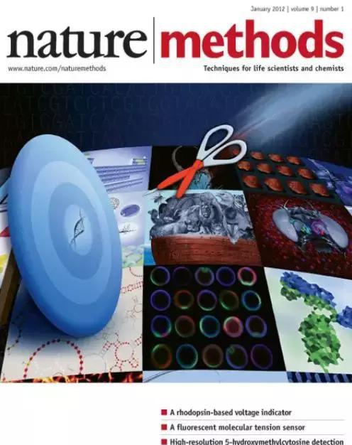 曾经被11所美国名校拒绝的中国高考状元,如今