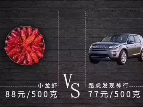 一斤小龙虾比一斤路虎还贵？网友：原来是小龙虾耽误我买车！