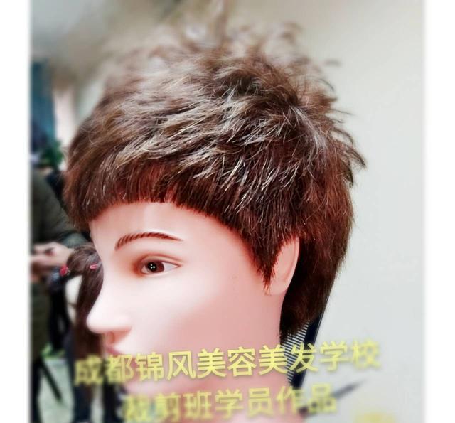 毛发生理学--美发知识 成都锦风美容美发培训学