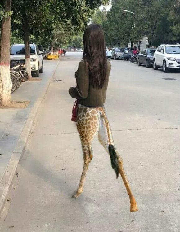 求大神给我p成社会人,这个小猪佩奇纹身社会了!