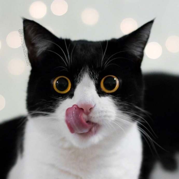 眼睛瞪的像什么成语_眼睛瞪的像铜铃图片(2)