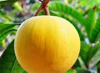 仙桃150的爱情究竟藏在哪条街？揭秘仙桃爱情与文化的秘密