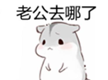 最近很火的仓鼠:撩老公表情系列第三弹女图动态搞笑的草奥特曼图片被图片
