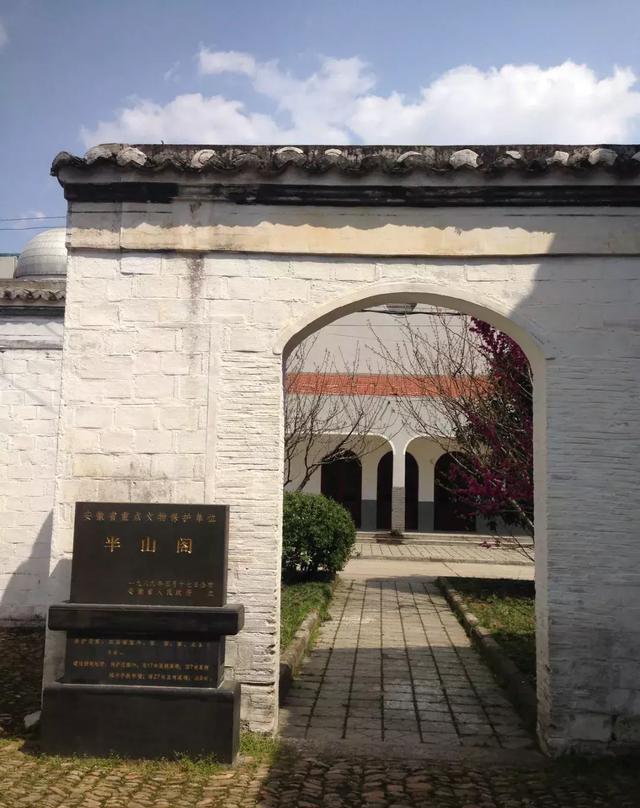 看桐城|桐城中学中澳班VCE高考成绩骄人 再创