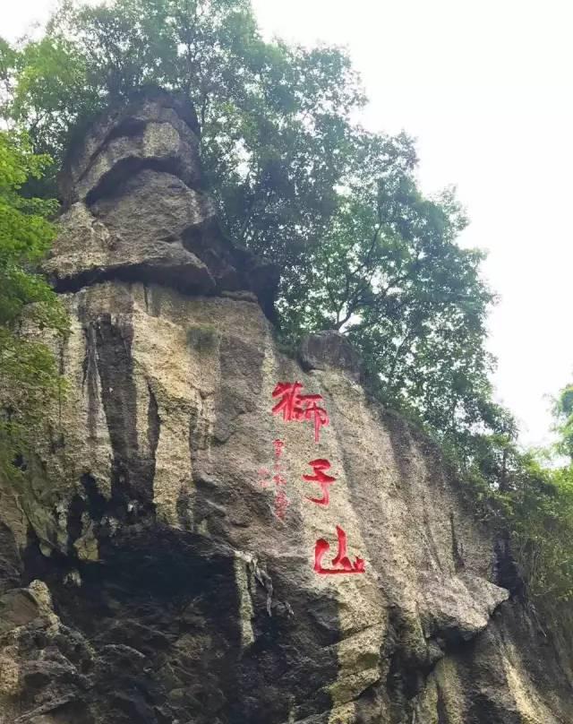 狮子山个人空放 新浪网