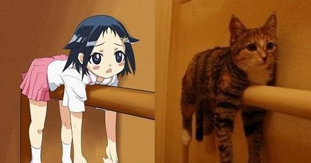 搞笑图片: 一张相片告诉你, 你穿什么都不可能成为高