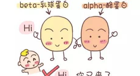 涨姿势,终于知道牛奶蛋白过敏是个什么鬼!