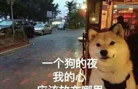 最新表情汪声音…听狗哭的表情!微信v表情变单身图片图片