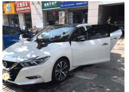 原来女朋友铁了心要买帕萨特, 我提了这款车夸我品味很高